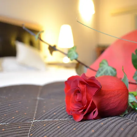 Master Hotel